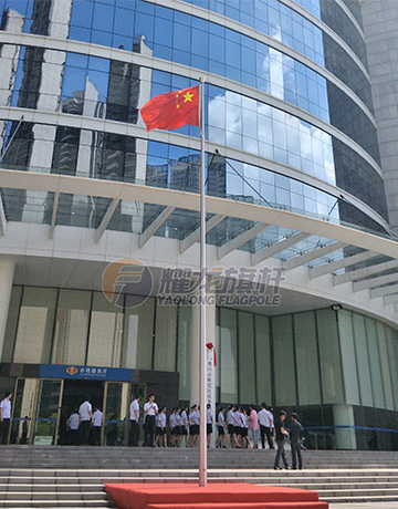 佛山顺德税局豆奶短视频下载