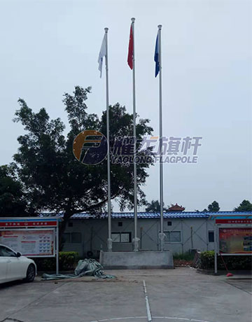广东佛山企业豆奶短视频下载